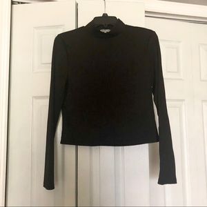 Charlotte Russe Turtle Neck Long Sleeved Crop Top